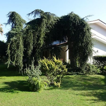 Villa Paradiso Le Rughe 외부 사진